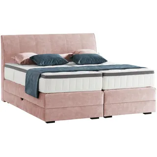 Novel Boxspringbett , Hellrosa , Textil , Wenge , H4 , 7-Zonen , Höhe ca. 27 cm , 200x200 cm , Bettkasten, Federkernmatratze , Schlafzimmer, Betten, Boxspringbetten