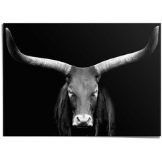 Reinders! Poster »Afrikanische Kuh«, schwarz