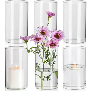 Glasseam Blumenvase Glas Vasen, 6 x Klar Kleine Vase Set, 15 x 8,5 cm Zylinder Runde Glasvase Schöne Blumenvasen für Tulpen, Minimalistische Dekovasen Kerzenhalter für Hochzeit Tischdeko Dekohaus