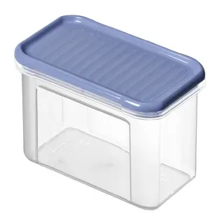 Rotho DOMINO Vorratsdose, horizon blue, Robuste Frischhaltedose aus Kunststoff , 1 Dose, Fassungsvermögen: 0,75 Liter