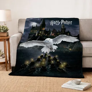 kuschelige Harry Potter Flauschdecke Fleecedecke 150 x 200 cm · große Decke Tagesdecke Kuscheldecke mit Hogwarts und Eule (schwarz)