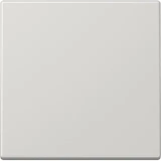 Jung Wippe F. SCHALTER/TASTER LS990LG