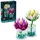 Botanicals Seerosen 11511