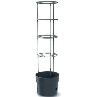 Prosperplast Tomatenpflanztopf Ø 29,5 x 24,4 cm Schwarz
