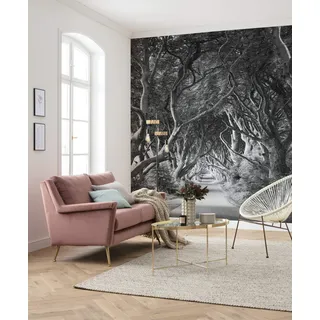 KOMAR Forevenue 250 x 280 cm