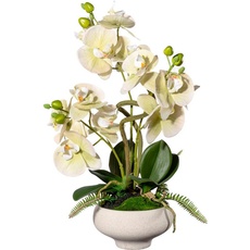 Bild Kunstorchidee »Orchidee Phalaenopsis im Keramiktopf«, grün