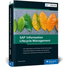 Bild SAP Information Lifecycle Management: