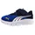 FlexFocus Modern Kinder Vivid Blue/White 26