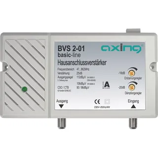 Axing BVS 2-01