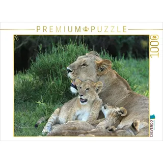 CALVENDO Puzzle Löwen – Mutterglück 1000 Teile Puzzle quer | Lege-Größe cm Foto-Puzzle für glückliche Stunden