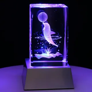 Kaltner Präsente Stimmungslicht – Ein ganz besonderes Geschenk: LED Kerze/Kristall Glasblock / 3D-Laser-Gravur Tiere Delfin mit Ball/Maritim Meer Urlaub
