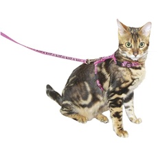 Kerbl Pet 82668 Katzengeschirr mit Leine 120 cm x 10 mm, rosa