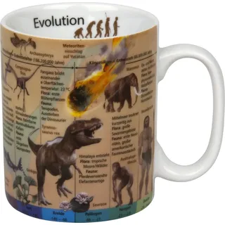 Konitz Wissensbecher Evolution