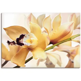Artland Wandbild »Gelbe Orchidee« Blumenbilder 1 Stk. tlg. als Alubild, Outdoorbild, Leinwandbild, Poster in verschied. Größen, gelb
