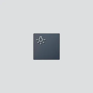 Siedle Lichttaste mit Lichtsymbol 210007065-00 Anthrazitgrau