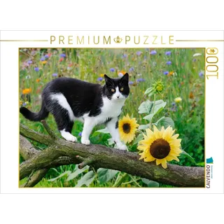 CALVENDO Puzzle Schwarz-weiße Katze mit Sonnenblumen | 1000 Teile Lege-Größe 64 x 48 cm Foto-Puzzle für glückliche Stunden