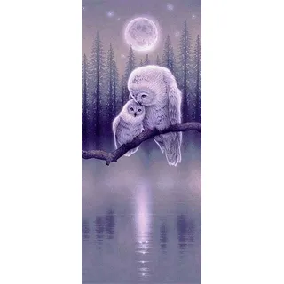 Mystische Eulen Diamantstickerei 50x110 cm