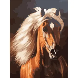 Pracht Creatives Hobby Diamond Painting Set, Bild mit Motiv Pferd und Zubehör, Größe ca. 25 x 35 cm, Bastelset zum Malen mit Glitzersteinchen für Kinder ab 5 Jahren