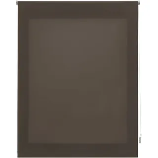 INTERBLIND Premium Rollo, transparent, glatt, 120 x 250 cm, Stoffmaß 117 x 245 cm, Taupe - für Fenster