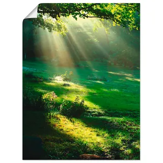 Artland Wandbild »Lichtkegel« Wald 1 Stk. tlg. als Leinwandbild, Poster in verschied. Größen, grün