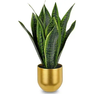 Ibenzoa® Künstliche Sansevieria – realistische Zimmerpflanze, 40,6 cm, 10 Blätter, grün, im weißen Keramiktopf Ø/H 12 cm, Kunststoff - Grün