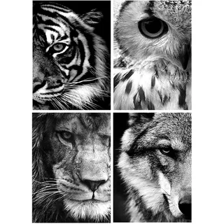 Diamond Painting 4 Stück Auge 30x40 cm - Tiger, Wolf, Löwe, Eule Diamant Bilder - Malen Nach Zahlen für Erwachsene