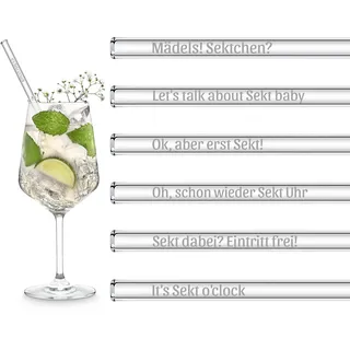 Sekt Geschenk Glasstrohhalme Lustige Sprüche | 6x 20cm Strohhalme für Sektgläser mit Gravur | Champagner Gläser Geschenkset | Glas mit Gravur Sekt Geschenk für Frauen