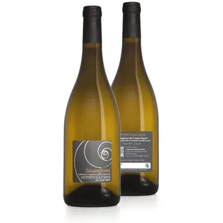 Wein Settevulcani Falanghina Der Felder Flegrei Doc - Karton 6 Stück