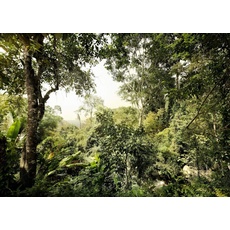 Bild Vliestapete Dschungel 350 x 250 cm