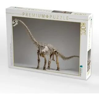 Calvendo Puzzle · Dinosaurier Brachiosaurus-Skelett mit langem Hals und kräftigem | Körper · Ein vollständiges Skelett des Brachiosaurus mit seinem... · 1000 Teile · Lege-Größe 64 × 48 cm · CALVENDO Puzzle