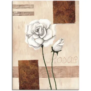 ARTland Leinwandbild »Rosae - Rosen«, Blumenbilder, (1 St.), auf Keilrahmen gespannt, beige