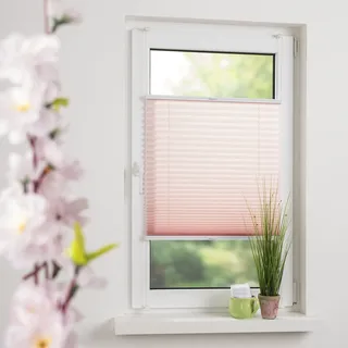 LIEDECO Klemmfix Plissee Pastell, verspannt altrosa