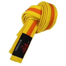 DEPICE Unisex – Erwachsene Kampfsportgürtel Gürtel, Gelb-orange, 240cm
