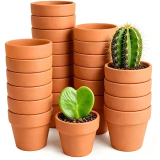 Forbabe 24 Stück Tontöpfe Klein, 3.5 X 3 cm Mini Terracotta Blumentopf