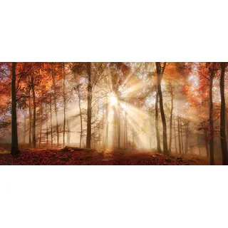Bönninghoff Bild "HERBSTWALD XXL 90x200 cm – Leinwandbild Keilrahmen Deko modern", farbe bild(er): gelb, braun, rot