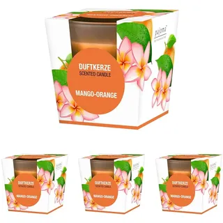 pajoma® Duftkerze, Mango-Orange - im satinierten Glas | 120g Wachsgewicht, Brenndauer: 25 Stunden, in edler Geschenkverpackung | Premium Qualität (Packung mit 4)