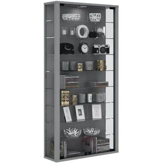 VCM Wandvitrine Vitrosa Maxi 59 x 18 x 114 cm Silber