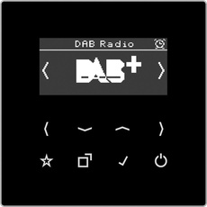 JUNG Smart Radio DABLSSW DAB+ (Radio Tuner), HiFi Komponente, Schwarz