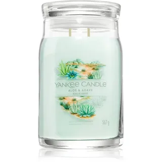 Yankee Candle Aloe & Agave Duftkerze 567 g grün