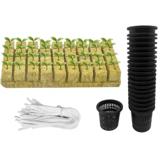 GIONAR 76 Stück Hydrokultur Pflanzen Net Kit | 2′′ Topfbecher mit geschlitztem Netz,Steinwolle Anzucht,Artikel Selbstbewässernde Dochtschnur aus Baumwolle für Hydrokultur