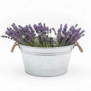 Zinkwanne Pflanzkübel 25 L silber rund mit Griffen aus Kordel - 45 x 22 cm | Metall Blumenschale verzinkt - Blumenkübel Pflanzschale Garten Deko Schale