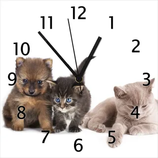 Wallario Design Wanduhr Hundewelpen und Katzenjunge aus Echtglas, Größe 30 x 30 cm - Weiß
