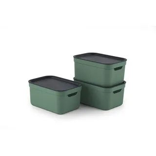 Jive Dekobox 3er-Set Aufbewahrungsbox 5l mit Deckel, Kunststoff (PP recycelt), grün/anthrazit, 3x5l (26.5 x 18.5 x 13.2 cm)