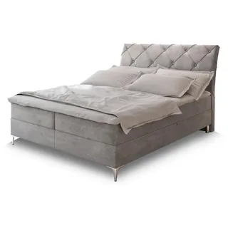 masseno Boxbett mit Bettkasten ¦ grau ¦ Maße (cm): B: 160 H: 118