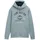 Herren Hoodie Sweatshirt mit Logo-Print Grey Mint L