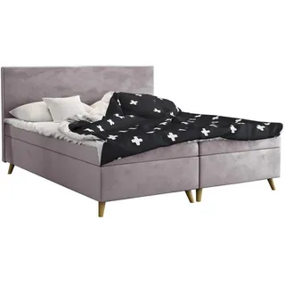 kaiser möbel Boxspringbett mit bettkasten matratze + topper Bella stoff Riviera Lila 160x200 cm