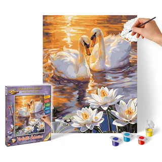 Schipper Verliebte Schwäne Malen nach Zahlen