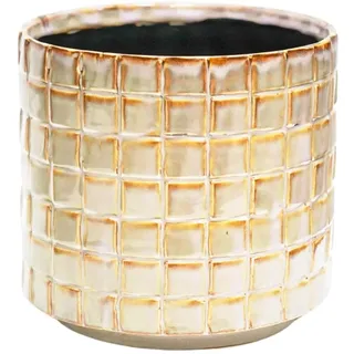 Ivyline 11 x 10 cm Elfenbein