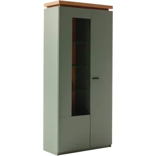 MCA furniture Vitrine »Moniz Kombi-Vitrine« 1 Stk. tlg. Standvitrine,Glasvitrine,Metallgriffe,1 Tür, 3 Glasböden, Höhe 197 cm, grün