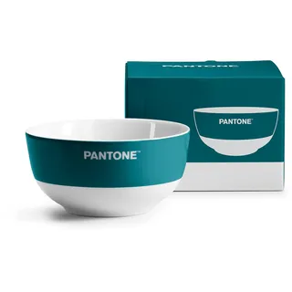 PANTONETM- Müslischalen Personalisiert Pantone Widerstandsfähig 1 Stück, Bowl Schüssel Fleckenabweisend, Kratzfest, Geruchsabweisend 650ml 13,8x7, Suppenschalen Müslischale Spülmaschine und Mikrowelle